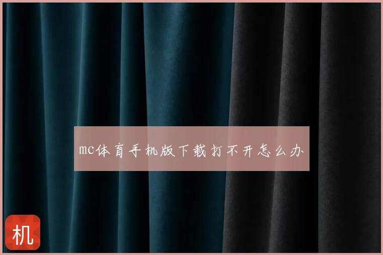 mc体育手机版下载打不开怎么办